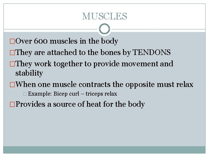 MUSCLES �Over 600 muscles in the body �They are attached to the bones by