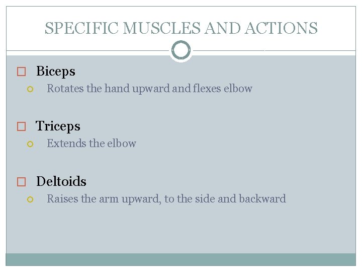 SPECIFIC MUSCLES AND ACTIONS � Biceps Rotates the hand upward and flexes elbow �