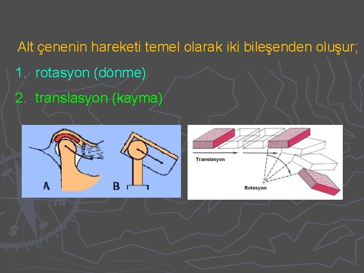 Alt çenenin hareketi temel olarak iki bileşenden oluşur; 1. rotasyon (dönme) 2. translasyon (kayma)