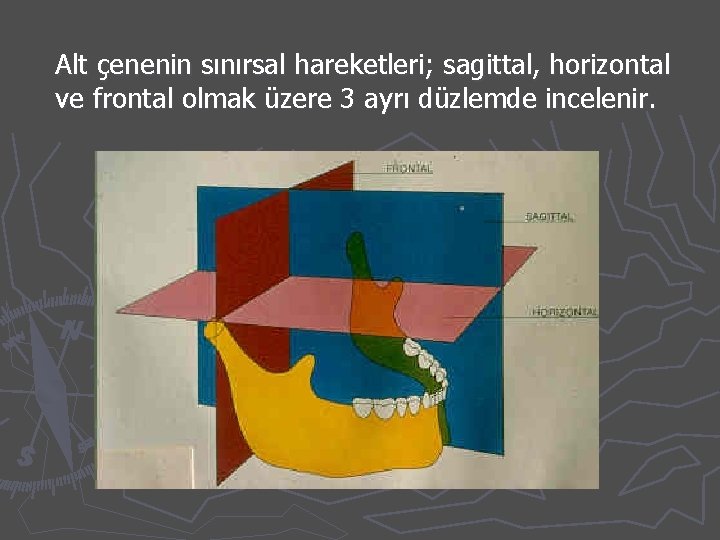 Alt çenenin sınırsal hareketleri; sagittal, horizontal ve frontal olmak üzere 3 ayrı düzlemde incelenir.