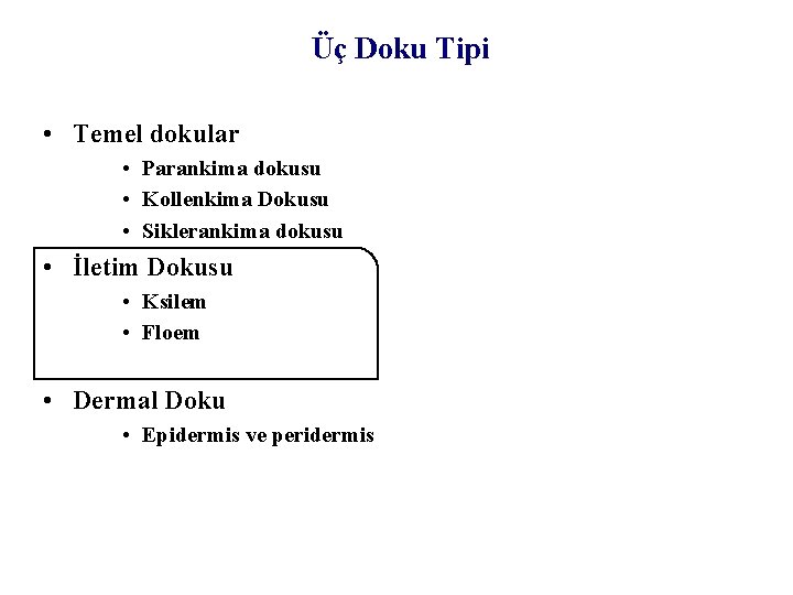 Üç Doku Tipi • Temel dokular • Parankima dokusu • Kollenkima Dokusu • Siklerankima