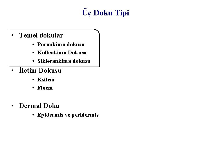 Üç Doku Tipi • Temel dokular • Parankima dokusu • Kollenkima Dokusu • Siklerankima