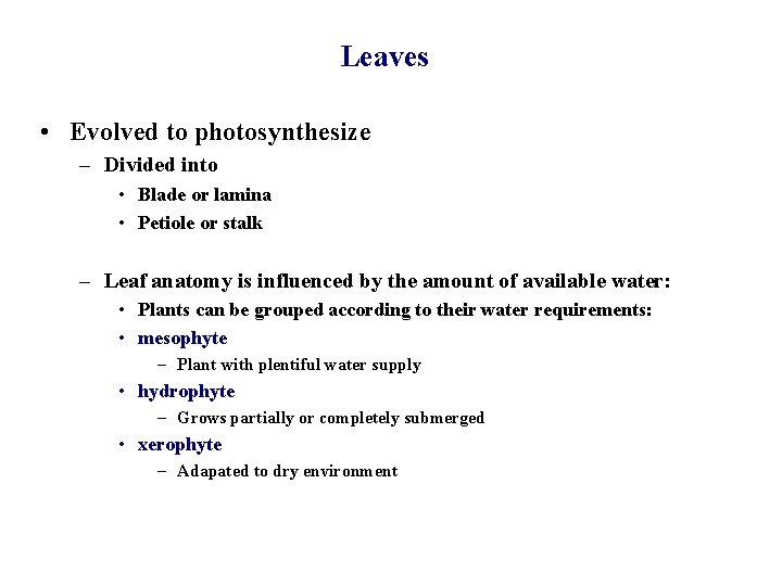 Leaves • Evolved to photosynthesize – Divided into • Blade or lamina • Petiole