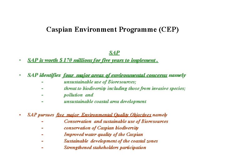 Caspian Environment Programme (CEP) • SAP is worth $ 170 millions for five years