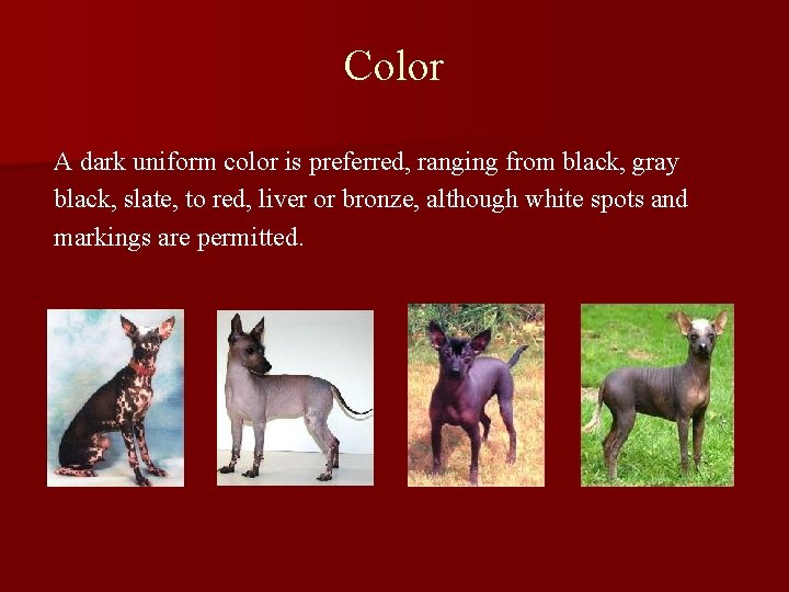 Color A dark uniform color is preferred, ranging from black, gray black, slate, to