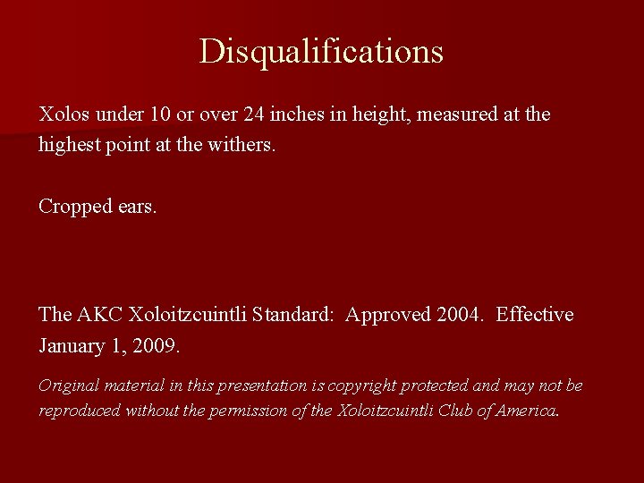 Disqualifications Xolos under 10 or over 24 inches in height, measured at the highest