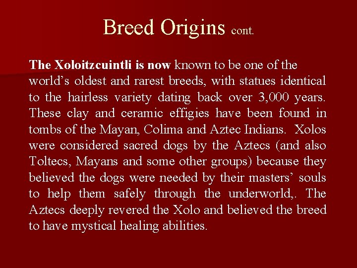 Breed Origins cont. The Xoloitzcuintli is now known to be one of the world’s