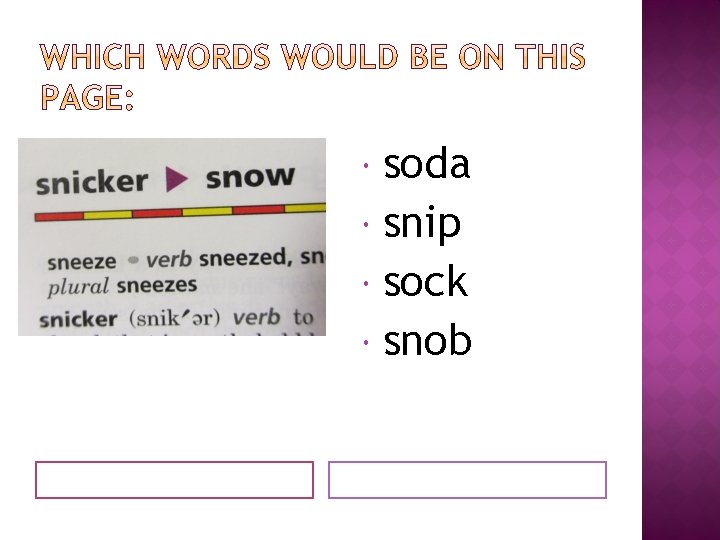soda snip sock snob 