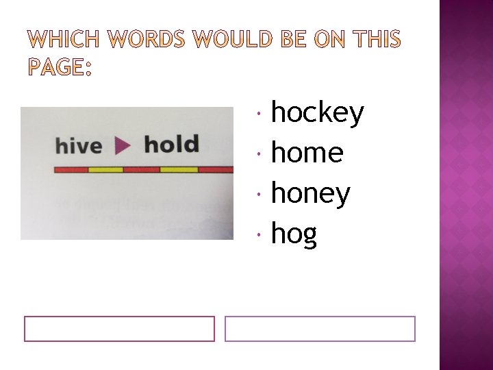 hockey home honey hog 