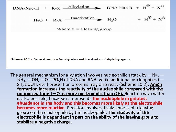 The general mechanism for alkylation involves nucleophilic attack by —N=, — NH 2, —OH,