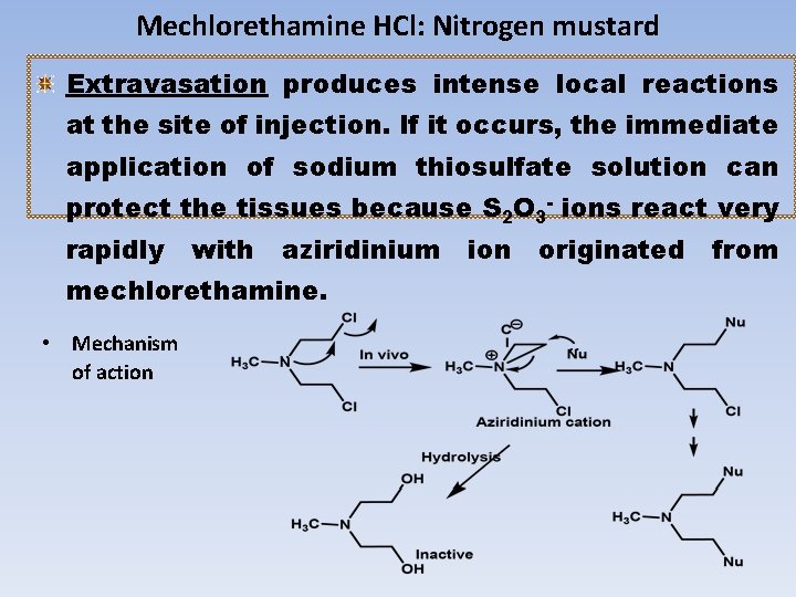 Mechlorethamine HCl: Nitrogen mustard Extravasation produces intense local reactions at the site of injection.