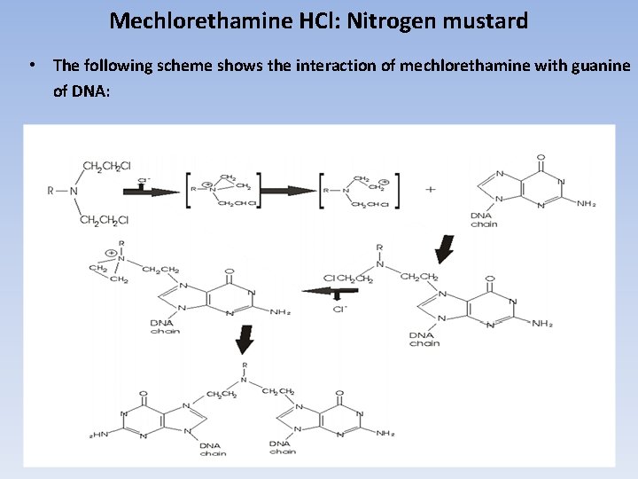 Mechlorethamine HCl: Nitrogen mustard • The following scheme shows the interaction of mechlorethamine with