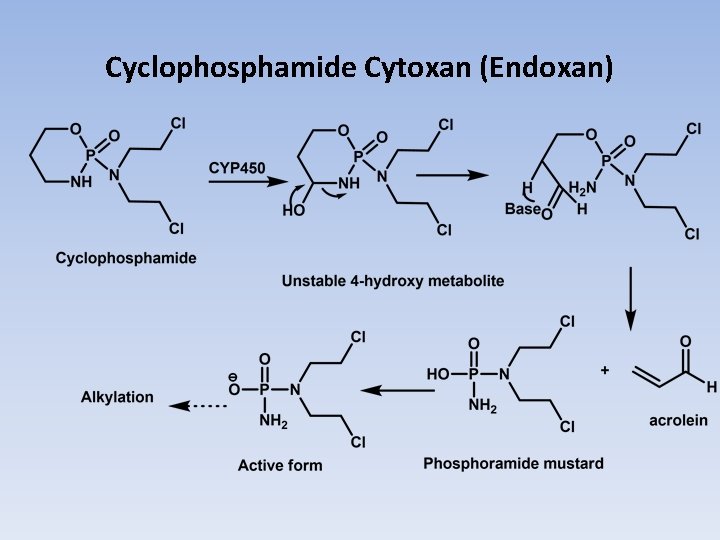 Cyclophosphamide Cytoxan (Endoxan) 