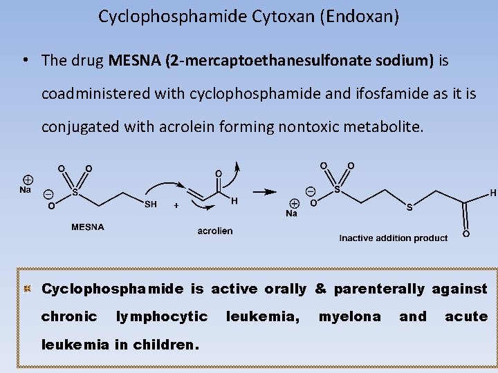 Cyclophosphamide Cytoxan (Endoxan) • The drug MESNA (2 -mercaptoethanesulfonate sodium) is coadministered with cyclophosphamide