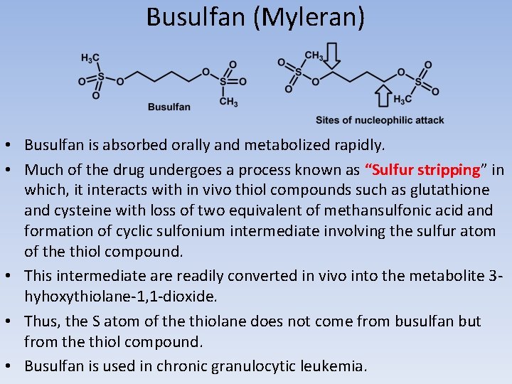 Busulfan (Myleran) • Busulfan is absorbed orally and metabolized rapidly. • Much of the
