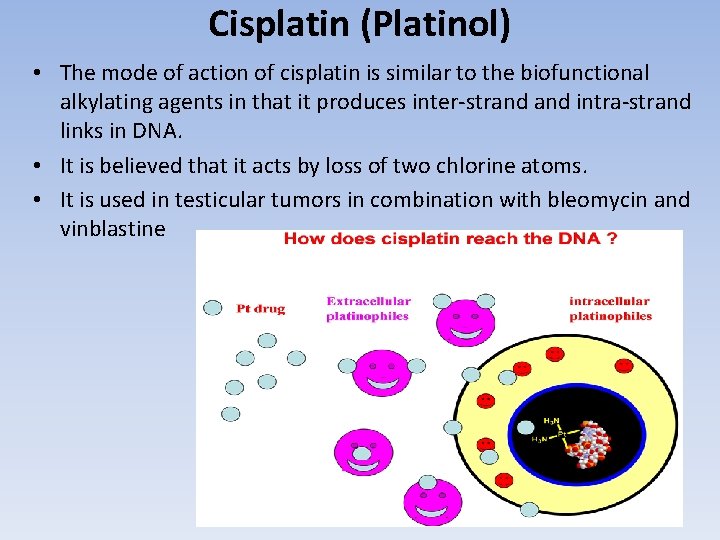 Cisplatin (Platinol) • The mode of action of cisplatin is similar to the biofunctional