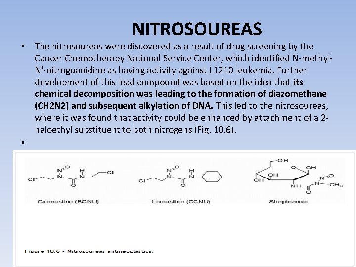 NITROSOUREAS • The nitrosoureas were discovered as a result of drug screening by the