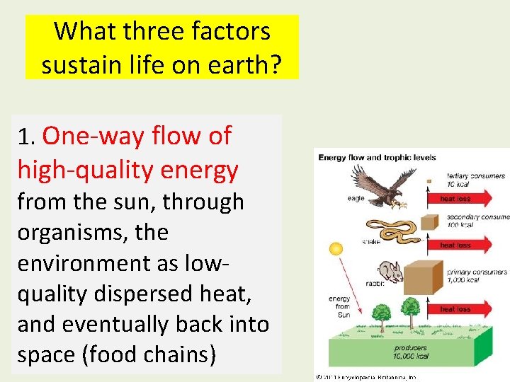 What three factors sustain life on earth? 1. One-way flow of high-quality energy from