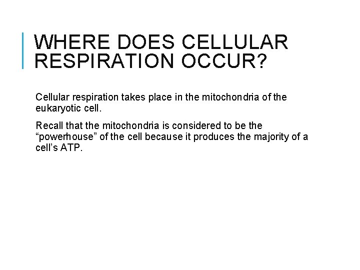 WHERE DOES CELLULAR RESPIRATION OCCUR? Cellular respiration takes place in the mitochondria of the
