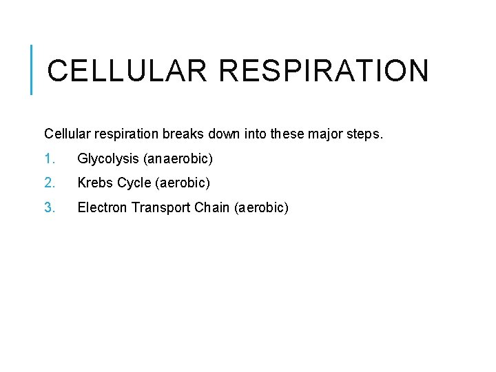 CELLULAR RESPIRATION Cellular respiration breaks down into these major steps. 1. Glycolysis (anaerobic) 2.