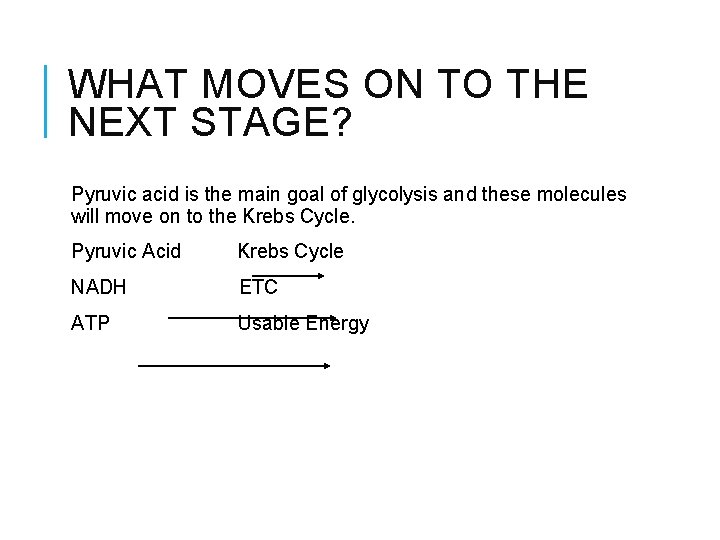 WHAT MOVES ON TO THE NEXT STAGE? Pyruvic acid is the main goal of