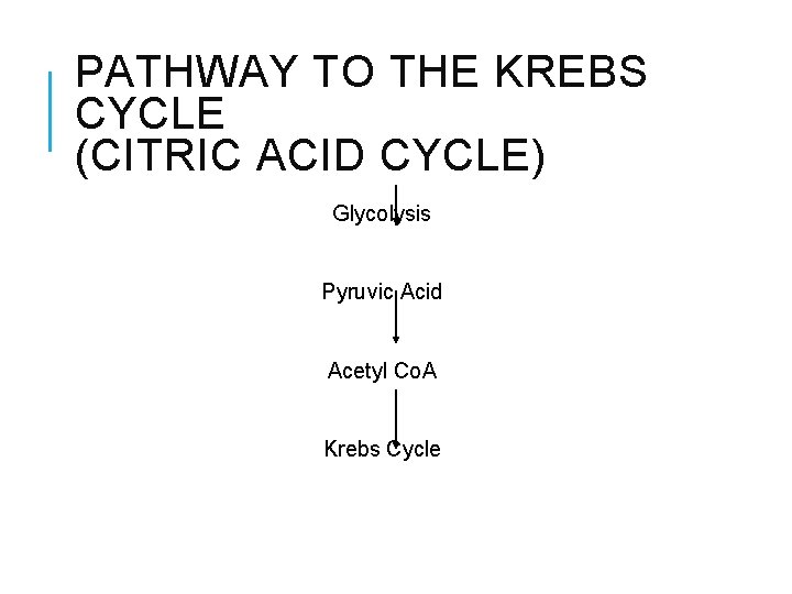 PATHWAY TO THE KREBS CYCLE (CITRIC ACID CYCLE) Glycolysis Pyruvic Acid Acetyl Co. A