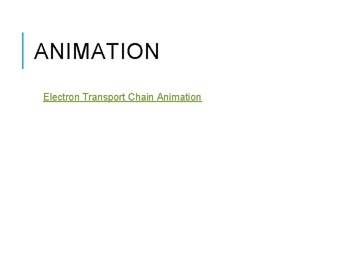 ANIMATION Electron Transport Chain Animation 