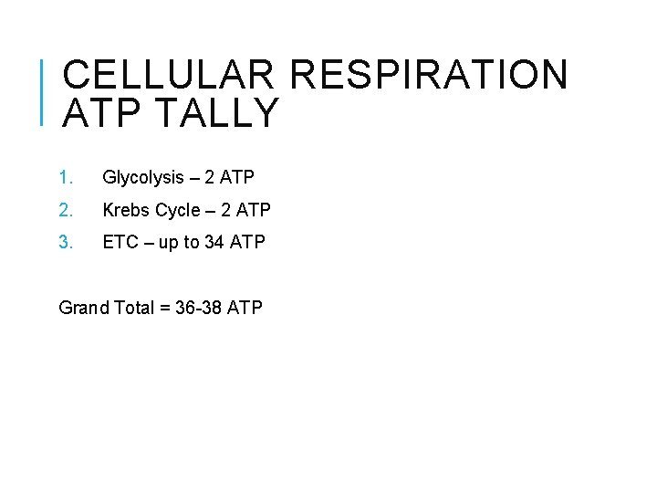 CELLULAR RESPIRATION ATP TALLY 1. Glycolysis – 2 ATP 2. Krebs Cycle – 2