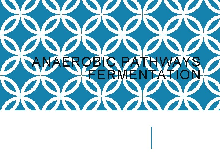 ANAEROBIC PATHWAYS FERMENTATION 