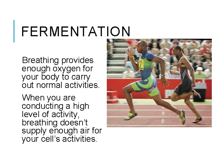 FERMENTATION Breathing provides enough oxygen for your body to carry out normal activities. When