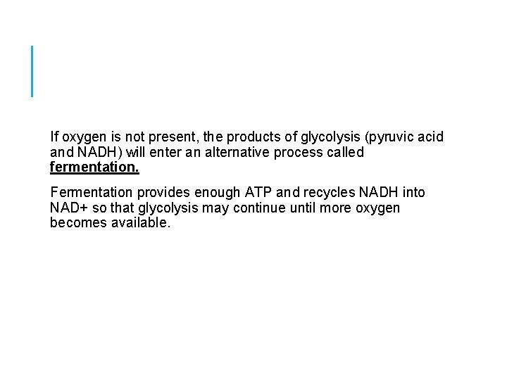 If oxygen is not present, the products of glycolysis (pyruvic acid and NADH) will