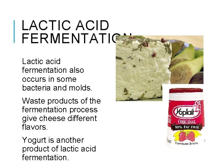 LACTIC ACID FERMENTATION Lactic acid fermentation also occurs in some bacteria and molds. Waste