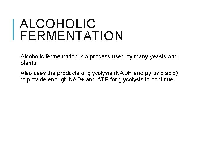 ALCOHOLIC FERMENTATION Alcoholic fermentation is a process used by many yeasts and plants. Also