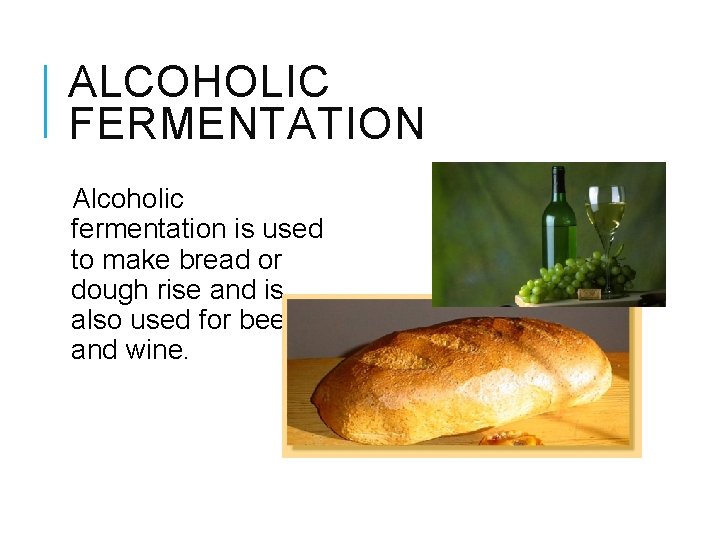 ALCOHOLIC FERMENTATION Alcoholic fermentation is used to make bread or dough rise and is