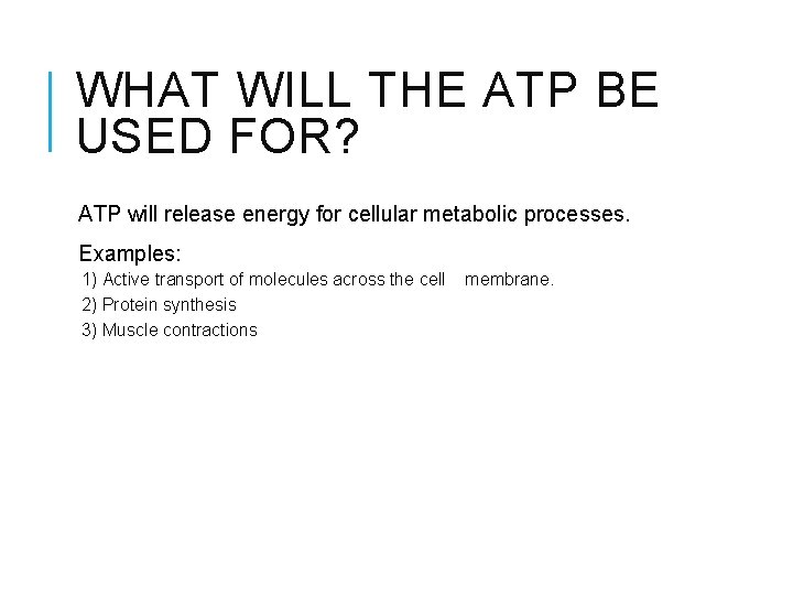 WHAT WILL THE ATP BE USED FOR? ATP will release energy for cellular metabolic