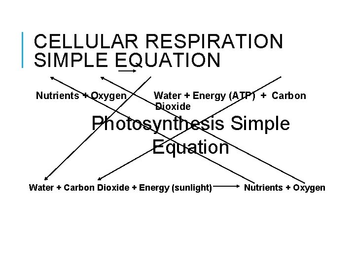 CELLULAR RESPIRATION SIMPLE EQUATION Nutrients + Oxygen Water + Energy (ATP) + Carbon Dioxide