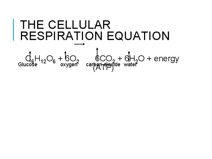 THE CELLULAR RESPIRATION EQUATION C 6 H 12 O 6 + 6 O 2