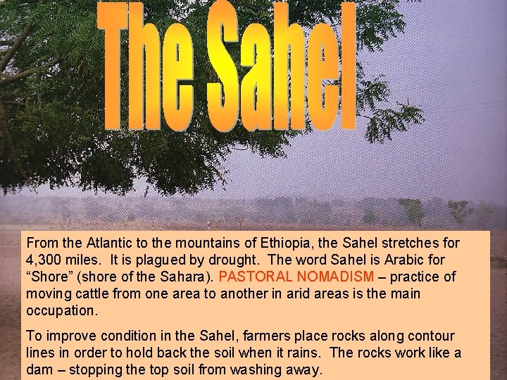 From the Atlantic to the mountains of Ethiopia, the Sahel stretches for 4, 300