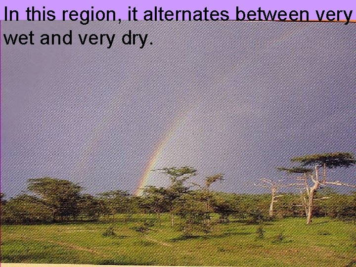 In this region, it alternates between very wet and very dry. 