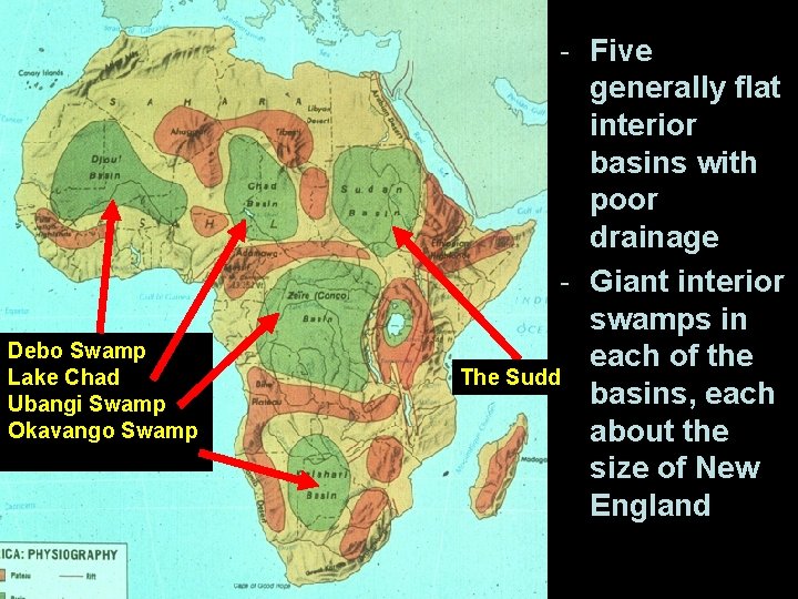 Debo Swamp Lake Chad Ubangi Swamp Okavango Swamp - Five generally flat interior basins