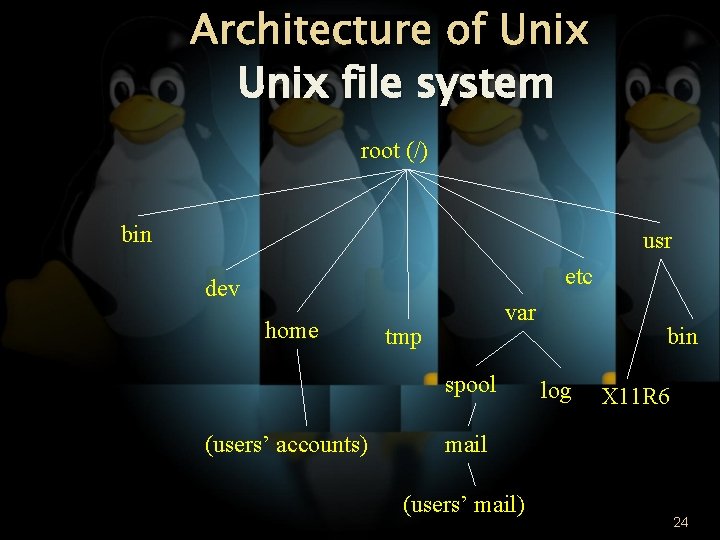 Architecture of Unix file system root (/) bin usr etc dev home var tmp