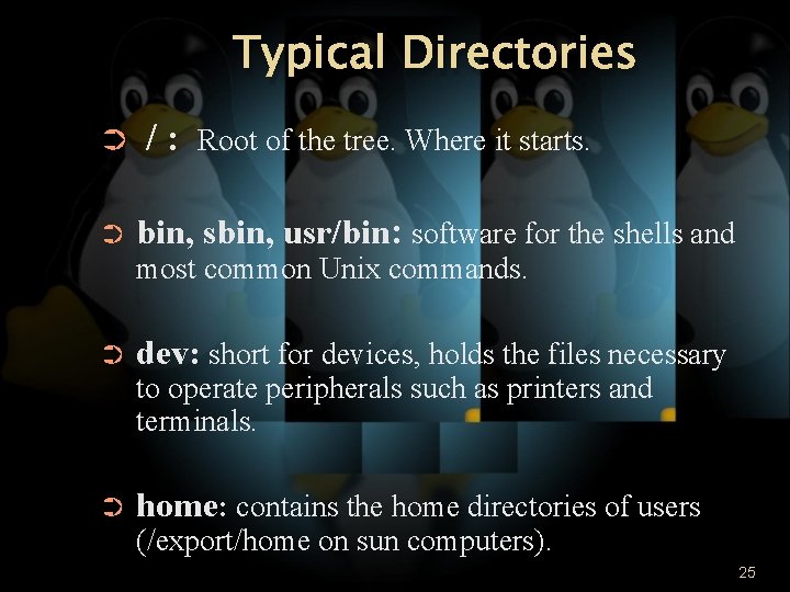 Typical Directories ➲ ➲ /: Root of the tree. Where it starts. bin, sbin,