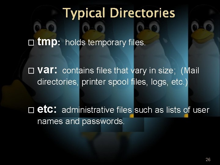 Typical Directories � tmp: � var: � etc: holds temporary files. contains files that