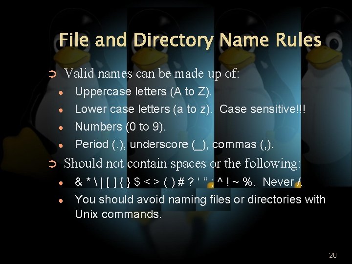 File and Directory Name Rules Valid names can be made up of: ➲ ●