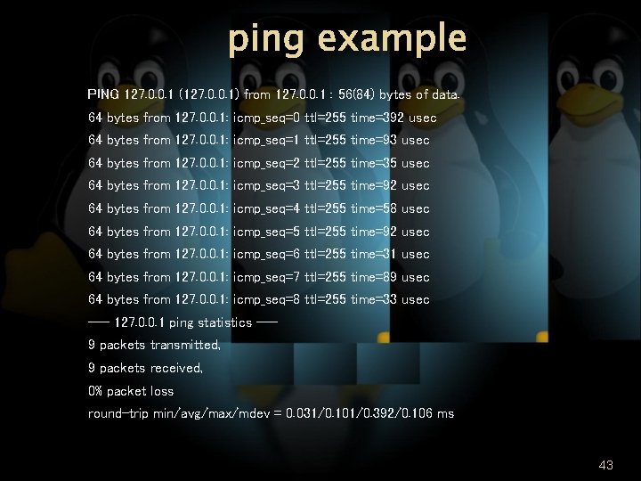 ping example PING 127. 0. 0. 1 (127. 0. 0. 1) from 127. 0.