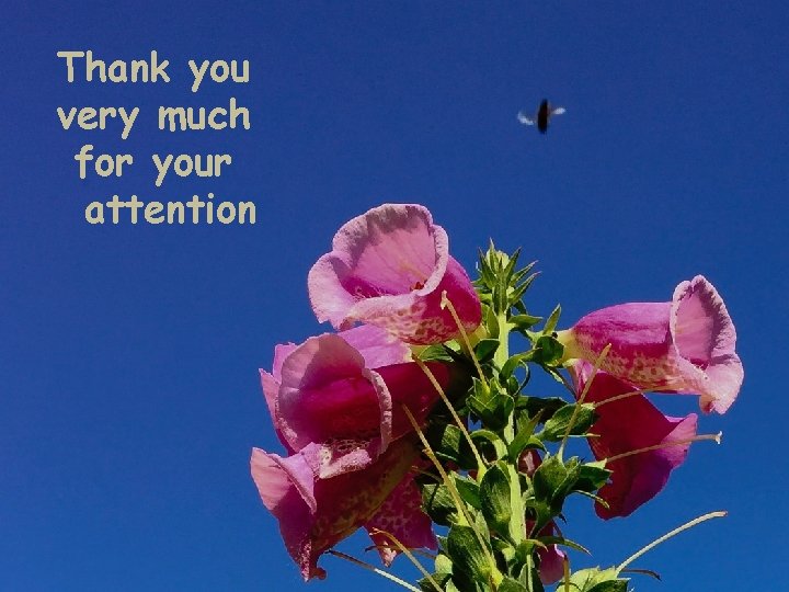 Thank you very much for your attention 