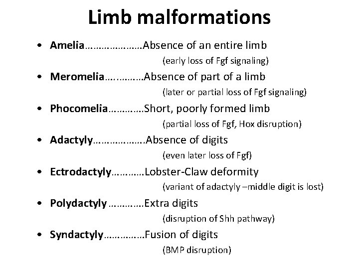 Limb malformations • Amelia…………………Absence of an entire limb (early loss of Fgf signaling) •