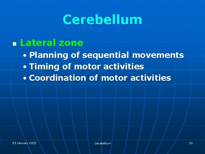 Cerebellum n Lateral zone • Planning of sequential movements • Timing of motor activities