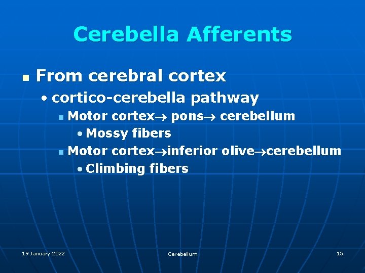 Cerebella Afferents n From cerebral cortex • cortico-cerebella pathway Motor cortex pons cerebellum •