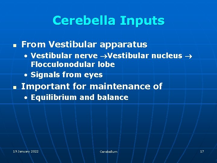Cerebella Inputs n From Vestibular apparatus • Vestibular nerve Vestibular nucleus Flocculonodular lobe •